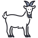 Goat Farms Ontario